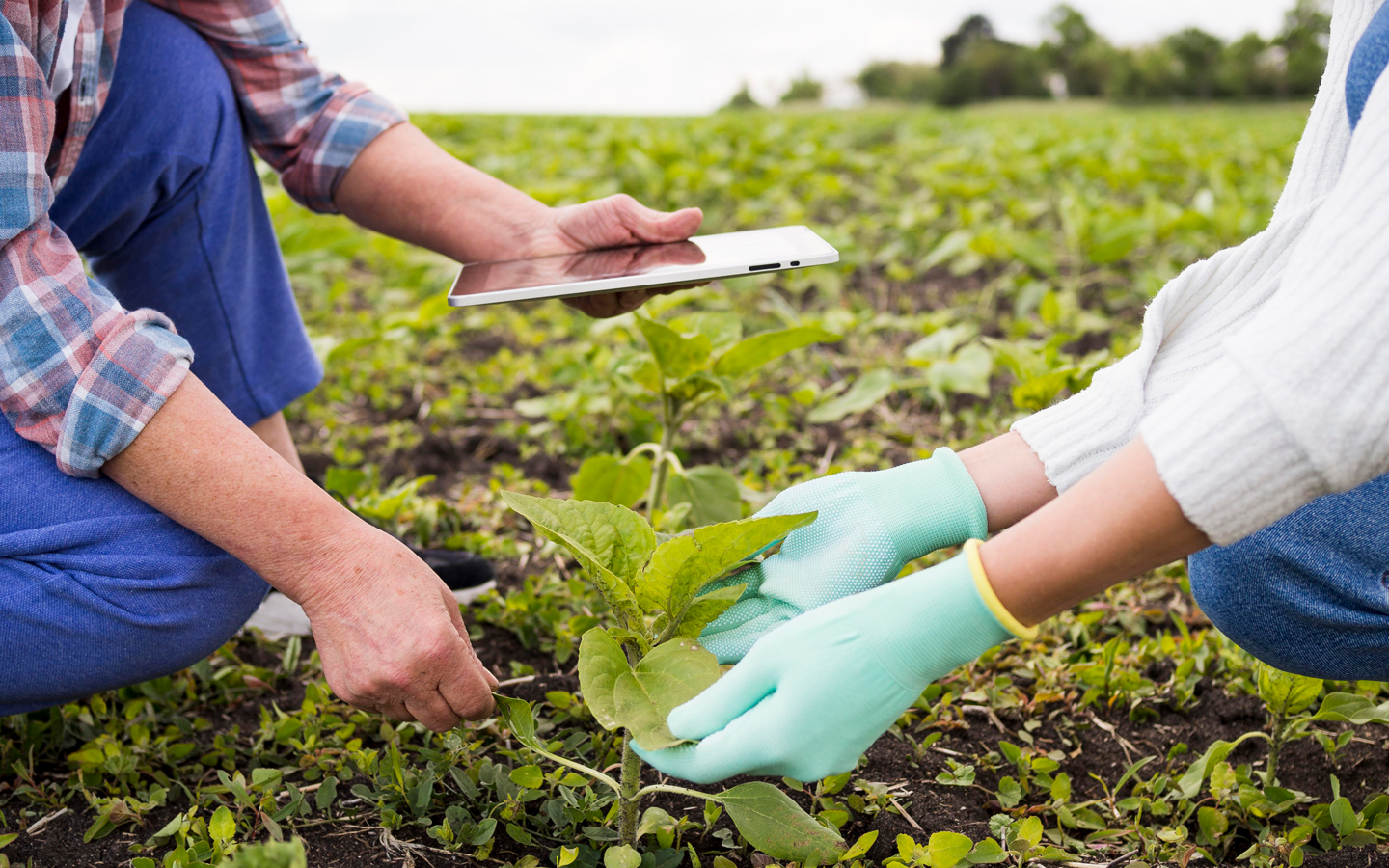 ITS Academy Agrorisorse - Corso ITS post diploma in agricoltura di precisione a Voghera