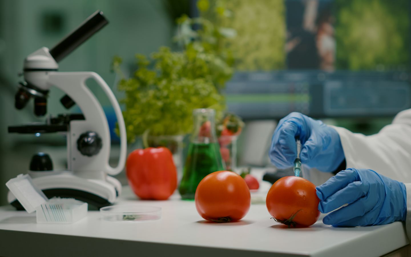 ITS Academy Agrorisorse - Corso ITS Food Tech Lodi e provincia