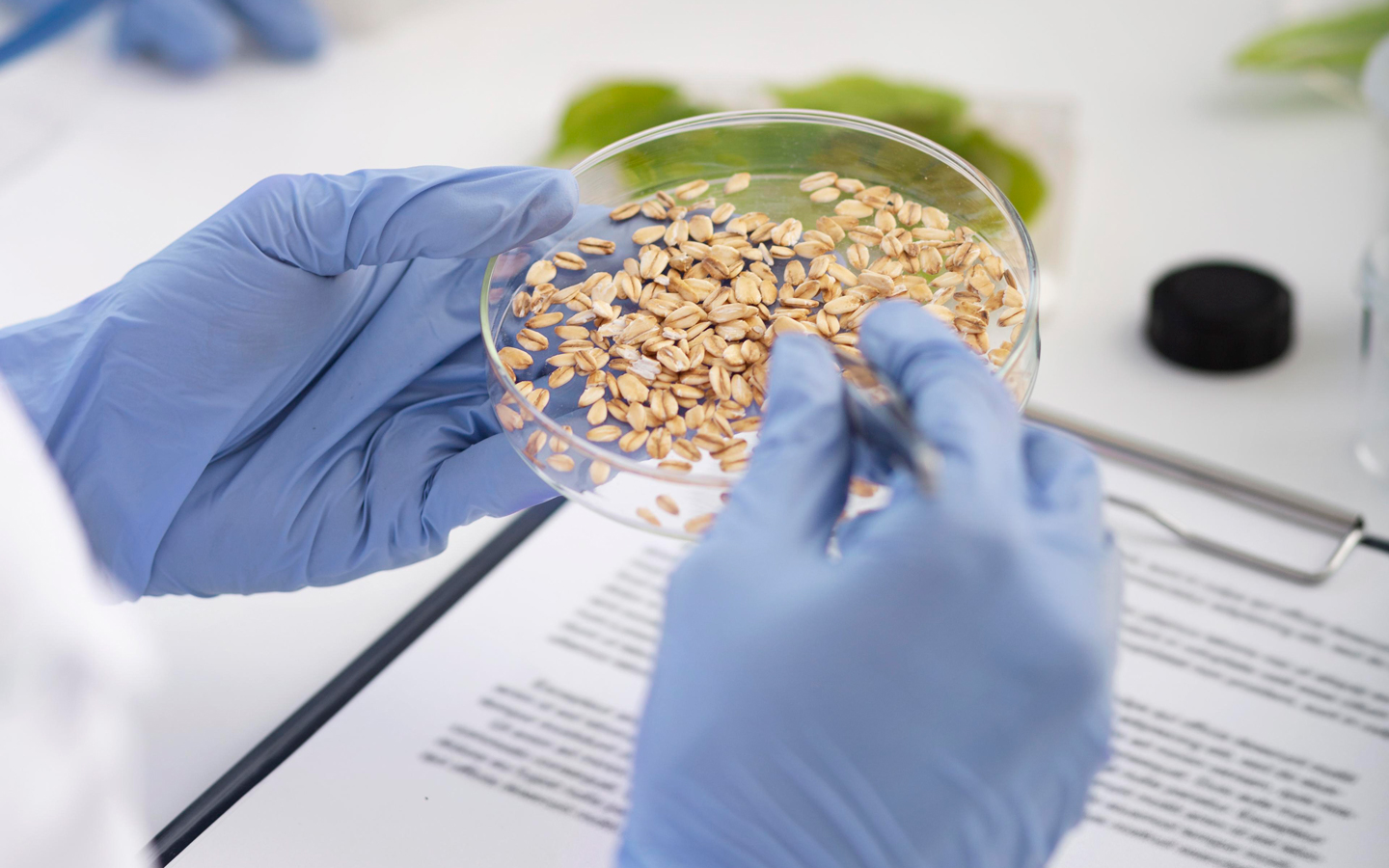 ITS Academy Agrorisorse - Corso ITS Food Tech in Lombardia